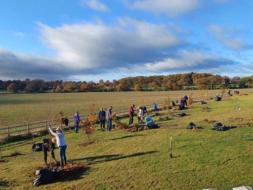 An image showing the project at Dorridge Cricket Club